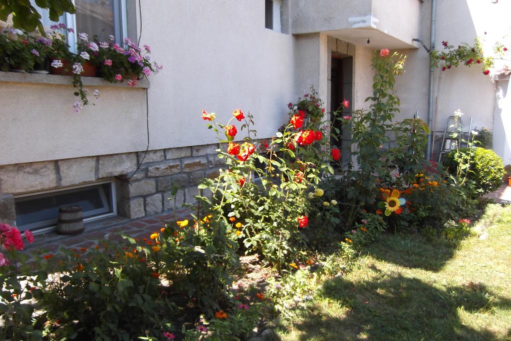 فندق Borova House تريفنا المظهر الخارجي الصورة