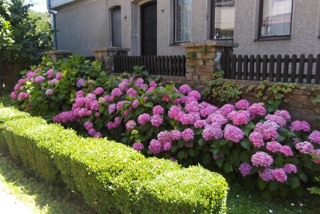 فندق Borova House تريفنا المظهر الخارجي الصورة