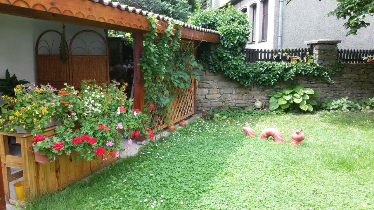فندق Borova House تريفنا المظهر الخارجي الصورة